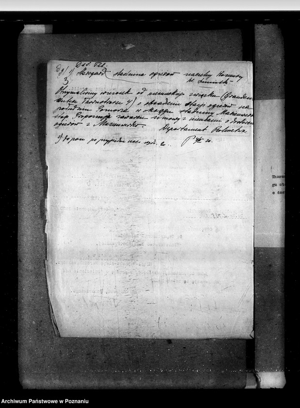 Obraz 7 z jednostki "Zarząd Stadnin Starogard"