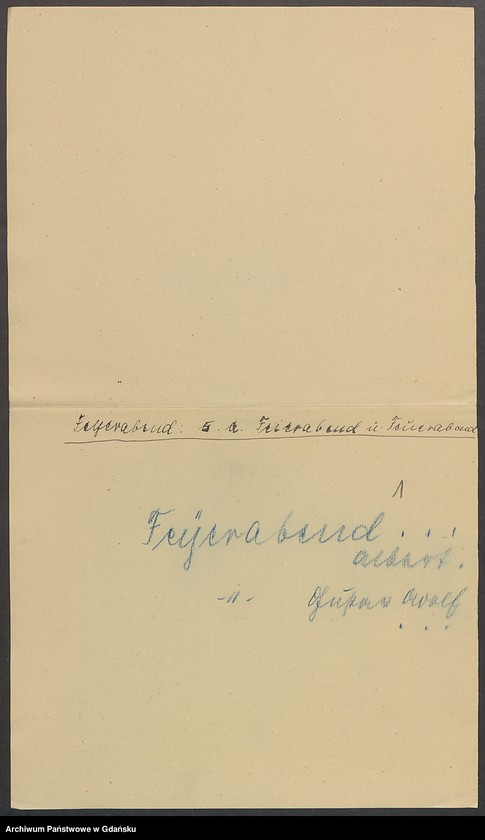 image.from.unit.number "Karty meldunkowe: Feyerabend - Fiebrant"