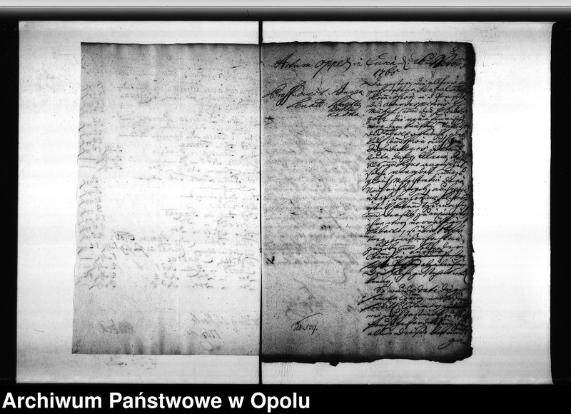 Obraz 10 z jednostki "Acta des Magistrats zu Oppeln von Anstellung und Vereidung der Tabaks Distributeure ingleichen Denunciationen"