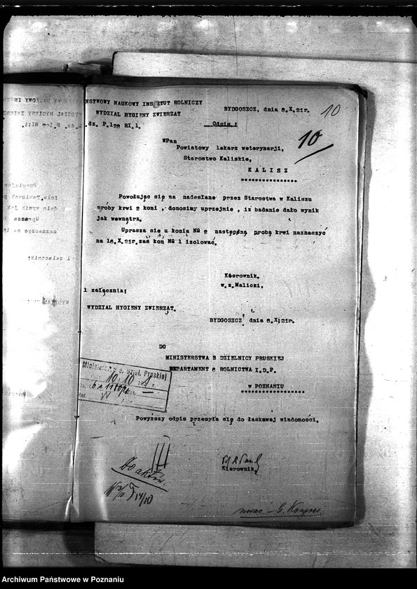 Obraz 14 z jednostki "Nosacizna - b. Kongresówka"