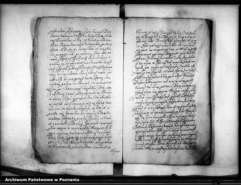 Obraz 8 z jednostki "Inscriptiones [inducta]"