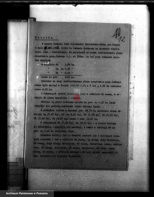 Obraz 16 z jednostki "Majętność leśna Kociałkowo powiat poznański"