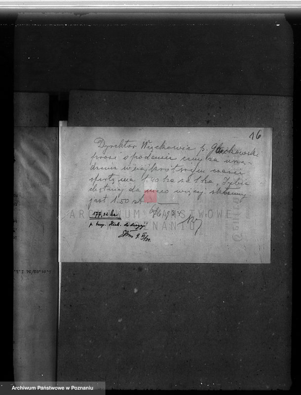 Obraz 20 z jednostki "Program gospodarczy dla lasu J. Kajewskiego w gminie Wiórek powiat poznański 1929-1939"