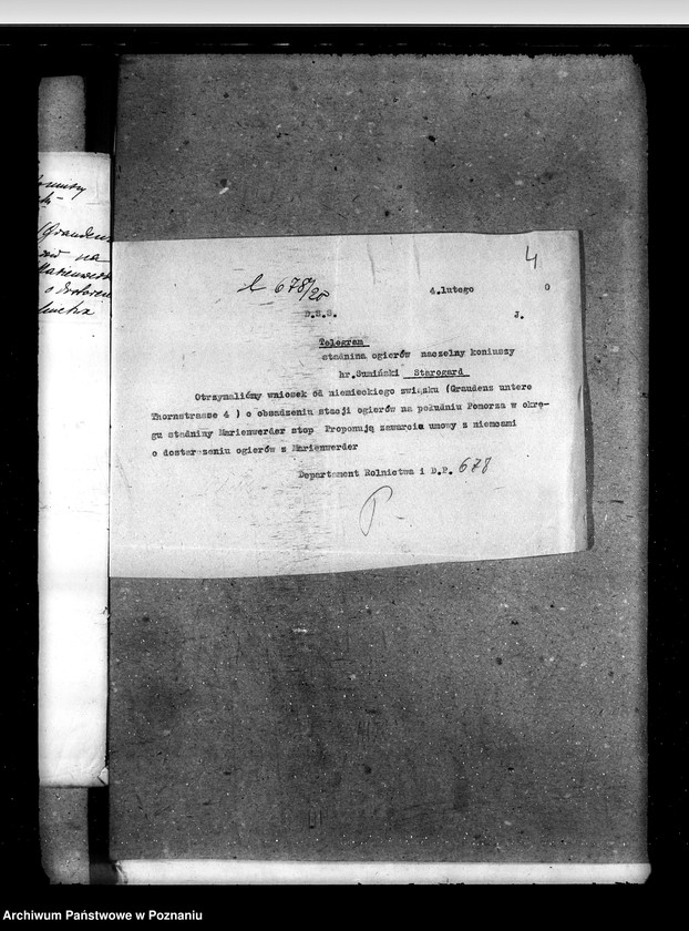 Obraz 8 z jednostki "Zarząd Stadnin Starogard"