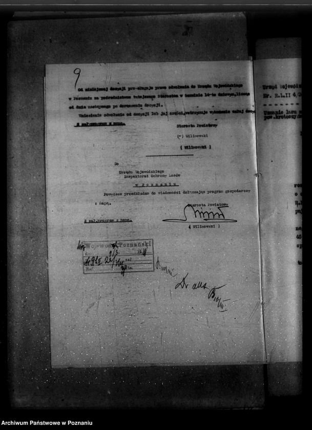 Obraz 13 z jednostki "Las majętności Dzierzanów powiat krotoszyński"