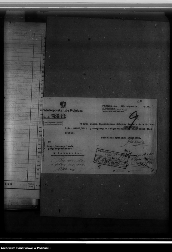 Obraz 14 z jednostki "Majętność leśna Więckowice powiat poznański"