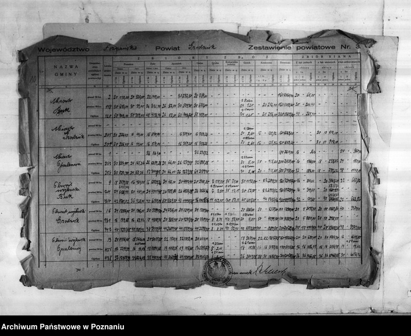 Obraz 12 z jednostki "/Statystyka produkcji rolnej - zestawienie powiatowe - Grodzisk/"