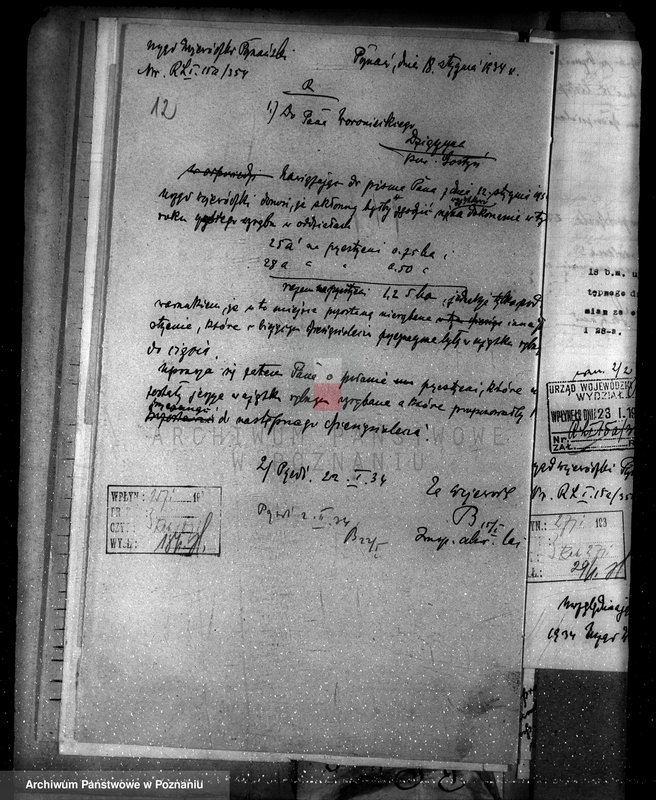 Obraz 16 z jednostki "Majętność leśna Dzięczyna w powiecie gostyńskim"