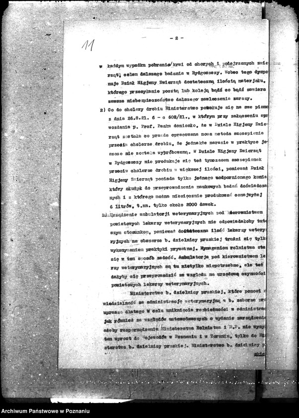 Obraz 15 z jednostki "Weterynaria"