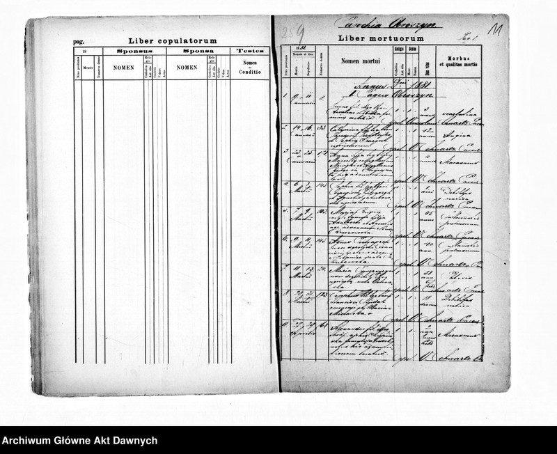 image.from.unit.number "Parafia: Obroszyn. Dekanat: Szczerzec. Kopie z ksiąg metrykalnych ur., śl., zg. dla wsi Obroszyn, Bartatów, Stawczany."