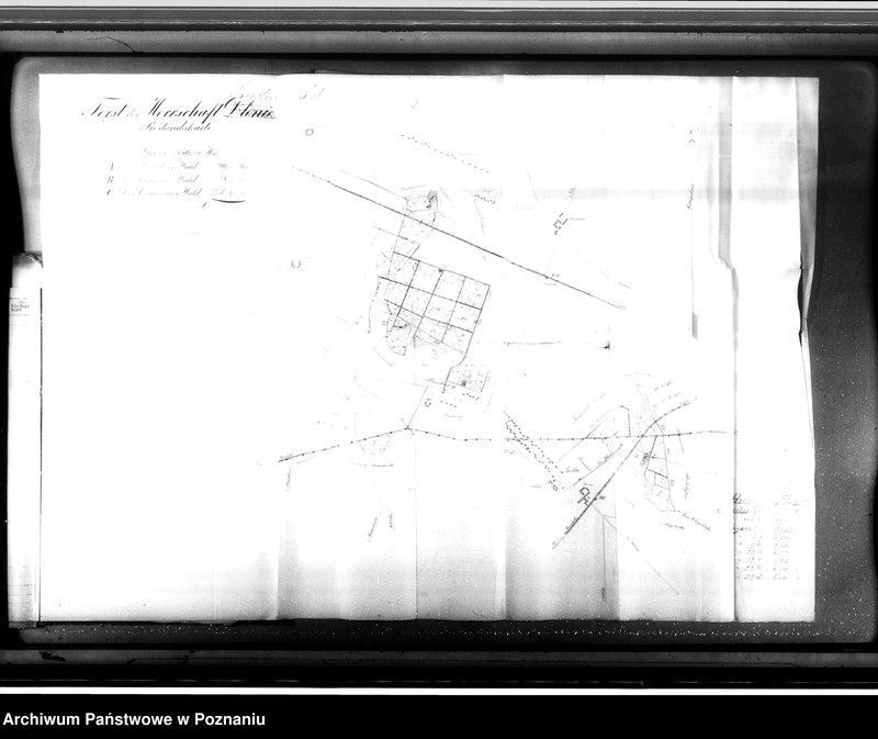 Obraz 12 z jednostki "Majętność leśna Smolice w powiecie gostyńskim"