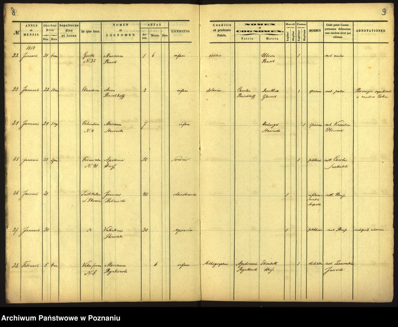Obraz 7 z jednostki "Księga zgonów"