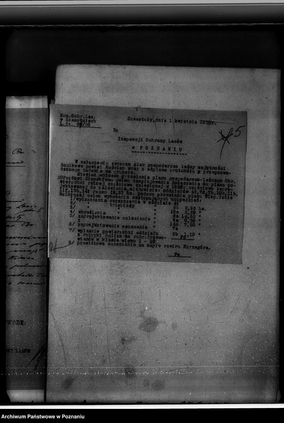 Obraz 9 z jednostki "Majętność leśna Bonikowo powiat kościański"