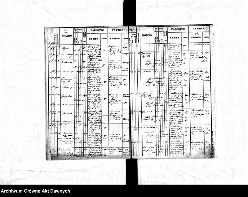 image.from.unit.number "Parafia: Mariampol [i Podhorce]. Dekanat: Buczacz [i Brody]. Księga metrykalna urodzeń 1862-1893 dla wsi Wołczków, parafia Mariampol [i 1861-1905 dla wsi Jasionów, parafia Podhorce]."