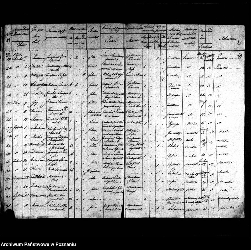 image.from.unit.number "Duplicatum librorum baptisatorum, copulatorum, mortuorum"
