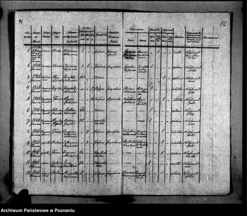 Obraz 13 z jednostki "Duplikat libri baptisatorum, copulatorum, mortuorum"