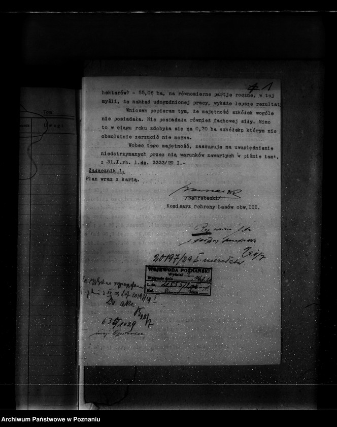 Obraz 5 z jednostki "Majętność leśna Czesławice powiat wągrowiecki własność Koerner"