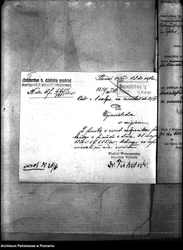 Obraz 9 z jednostki "Nosacizna - Międzychód"