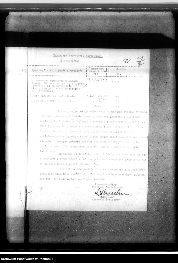 Obraz 17 z jednostki "Zalesienie nieużytków w powiecie jarocińskim"