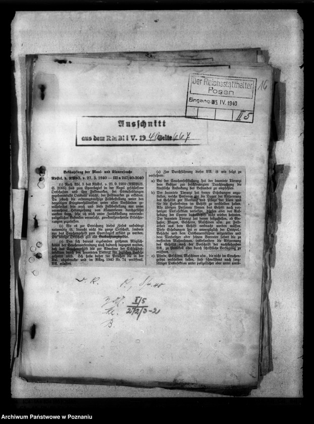 Obraz 20 z jednostki "Maul - und Klauenseuche"