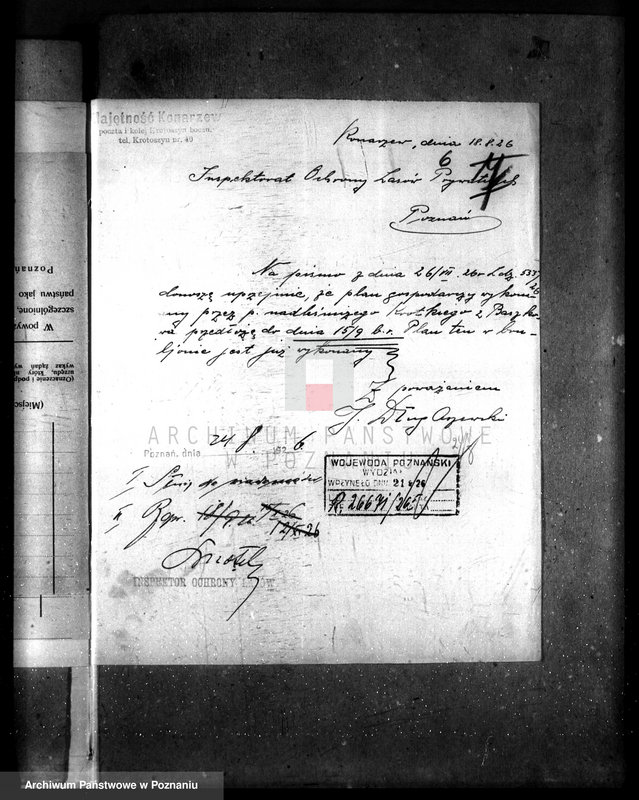 Obraz 11 z jednostki "Majętność leśna Konarzewo powiat krotoszyński"