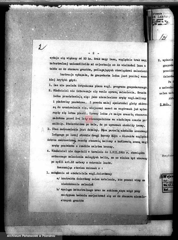 Obraz 6 z jednostki "Las majątku Borowy Młyn powiat międzychodzki"