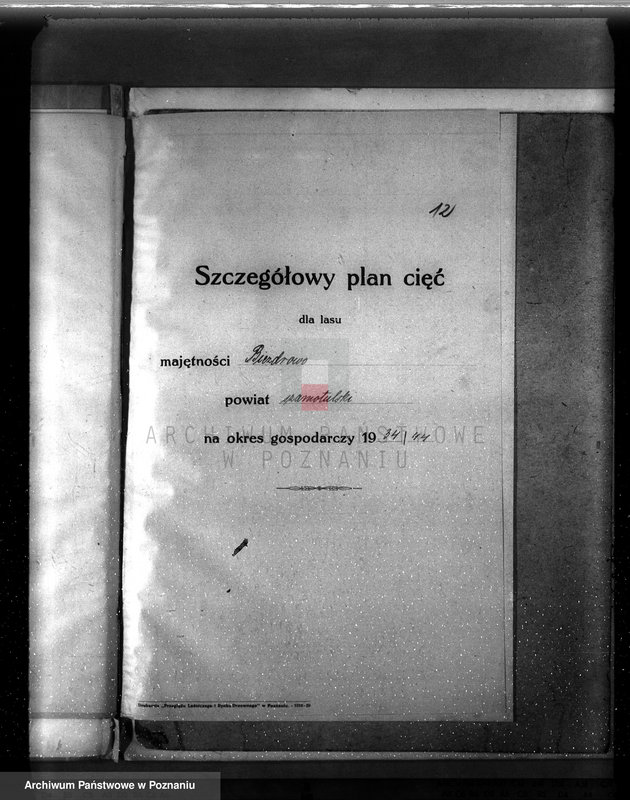 image.from.unit.number "Plan urządzenia gospodarstwa leśnego dla lasu majętności Biezdrowo powiat szamotulski"