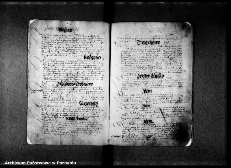 Obraz 12 z jednostki "Resignationes [inducta;protocollon]"