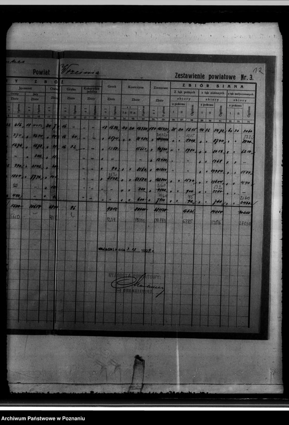 Obraz 16 z jednostki "/Statystyka produkcji rolnej - zestawienie powiatowe - Września/"