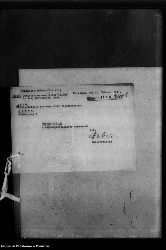 Obraz 5 z jednostki "Gräber in Nowy Korczyn (powiat Busko)"