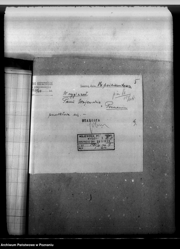 Obraz 9 z jednostki "Majętność leśna Górzno-Bojanice powiat leszczyński"