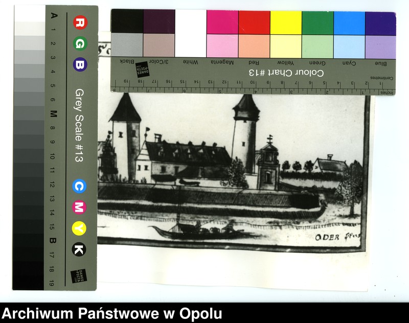 Obraz 15 z jednostki "[Fotografie rycin z publikacji Friedricha Bernharda Wernhera (Wernera)]"