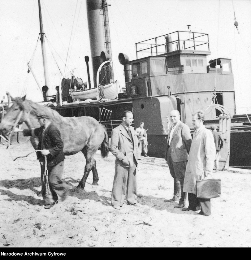 image.from.unit.number "Dostawa koni do Polski z inicjatywy Organizacji Narodów Zjednoczonych do Spraw Pomocy i Odbudowy UNRRA"