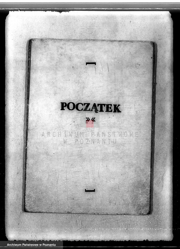 Obraz 3 z jednostki "Sprawa pojawienia się borecznika w lasach majątku Dąbia powiatu kolskiego"