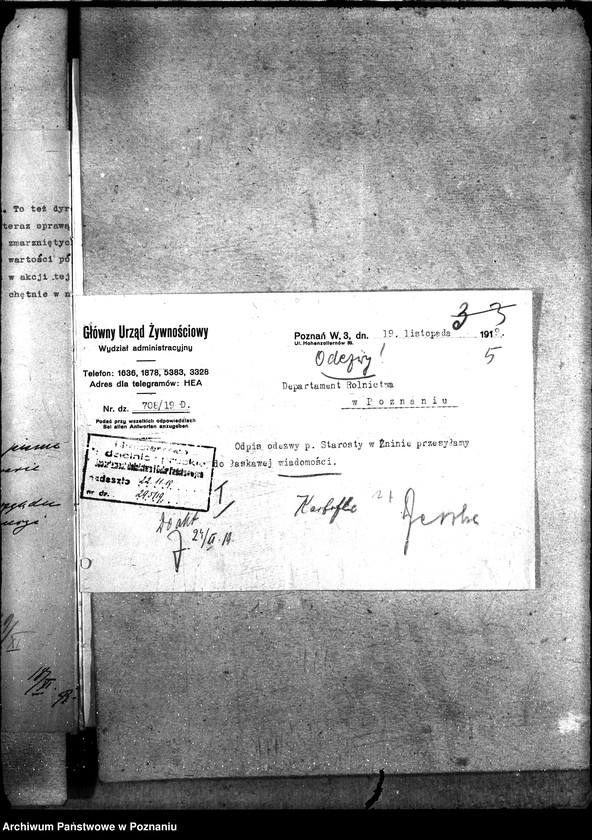 Obraz 9 z jednostki "Kartofle"