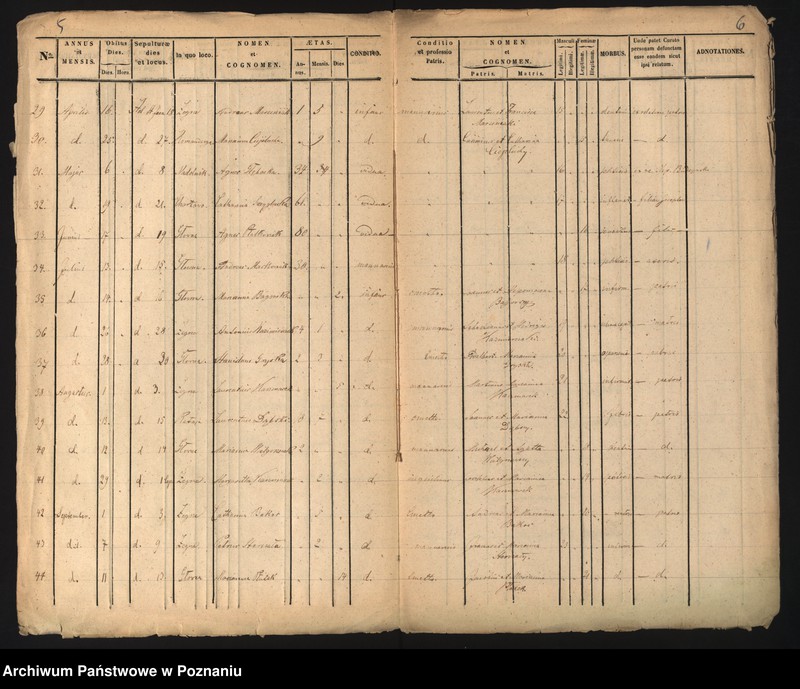 Obraz 6 z jednostki "Księga zgonów"