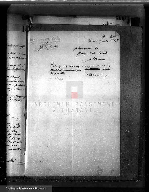 Obraz 12 z jednostki "Drzewostan na majątku państwowym Chwałkowo powiat średzki"