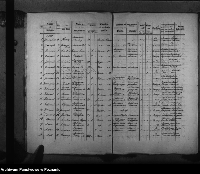 Obraz 14 z jednostki "Liber baptisatorum, copulatorum, mortuorum"