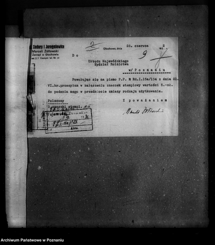 Obraz 13 z jednostki "Majętność leśna Zadory powiat kościański"