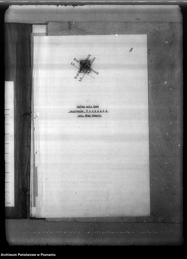 Obraz 5 z jednostki "Plan urządzenia gospodarstwa leśnego lasu majątku Strzępiń w powiecie nowotomyskim 1932-1942"