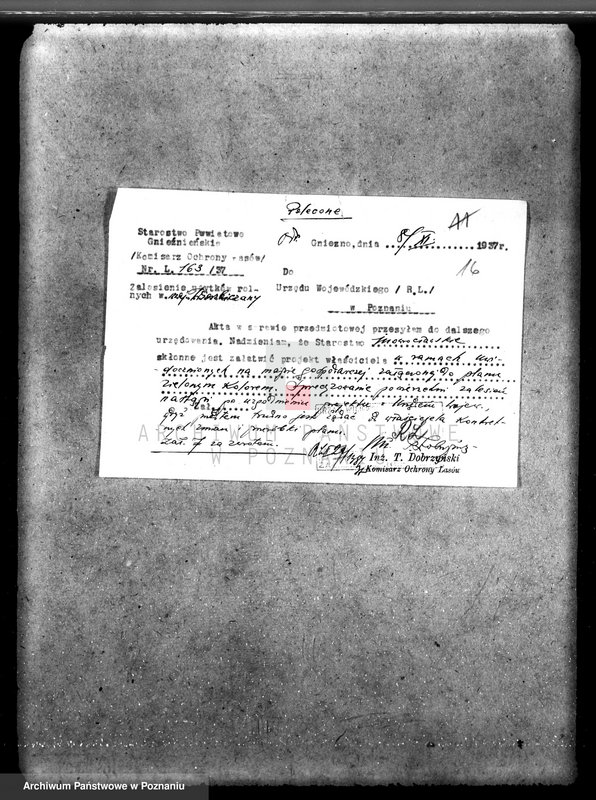 Obraz 20 z jednostki "Majątek Wierzbiczany w powiecie inowrocławskim /nadzór nad gospodarką leśną"