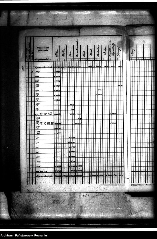 image.from.unit.number "/Rejestry pomiarowe i rejestry powierzchni majątku Bolęcin-Karna powiatu wolsztyńskiego"