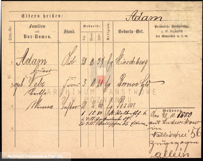 Obraz 6 z jednostki "Adam - Adamczak"