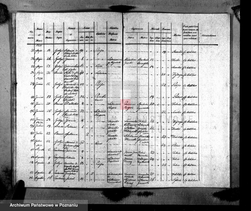 image.from.unit.number "Liber baptisatorum, copulatorum, mortuorum"