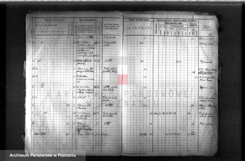 image.from.unit.number "Plan urządzenia gospodarstwa leśnego dla lasu majętności P. Griesera powiat szamotulski 1930-1940"