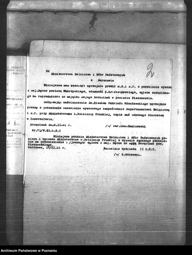 Obraz 6 z jednostki "Konie"