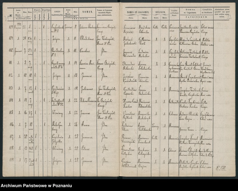 Obraz 15 z jednostki "Księga urodzin"