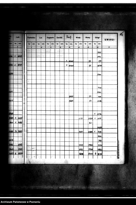 Obraz 19 z jednostki "Rejestr pomiarowy gminy Goszczanów powiat turecki"