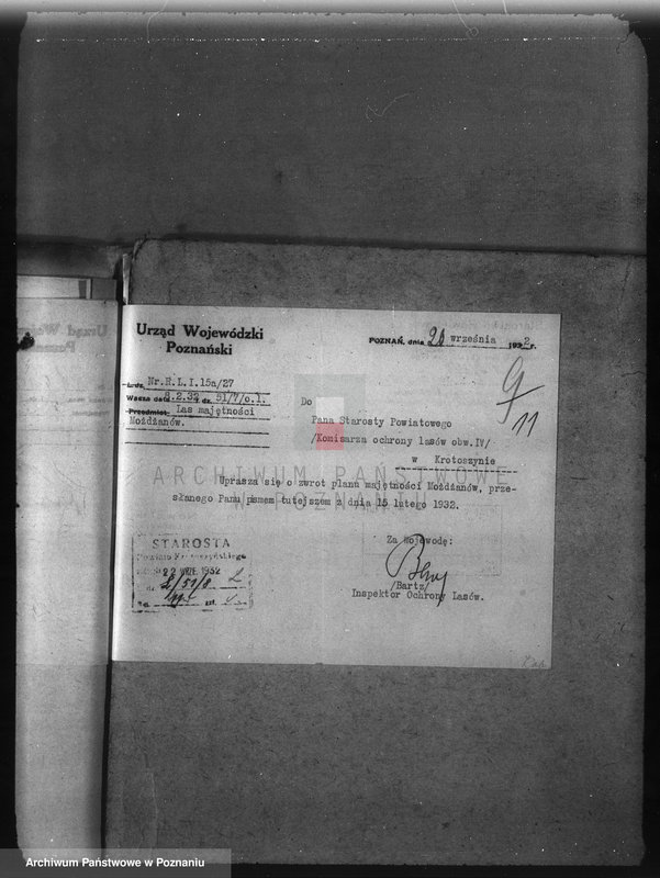 Obraz 15 z jednostki "Majętność leśna Możdzanów powiat ostrowski"