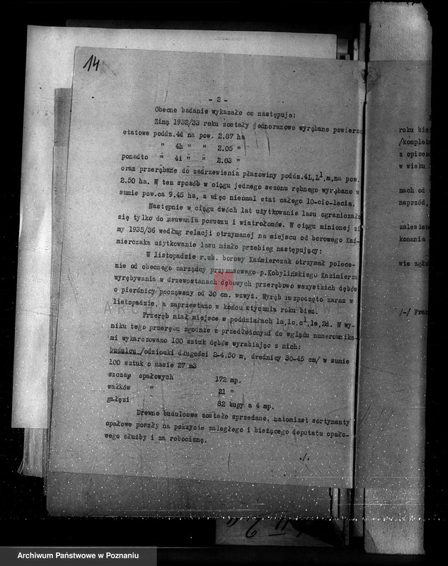 Obraz 18 z jednostki "Nadzór nad gospodarką w lasach majętności Cichowo powiat kościański"